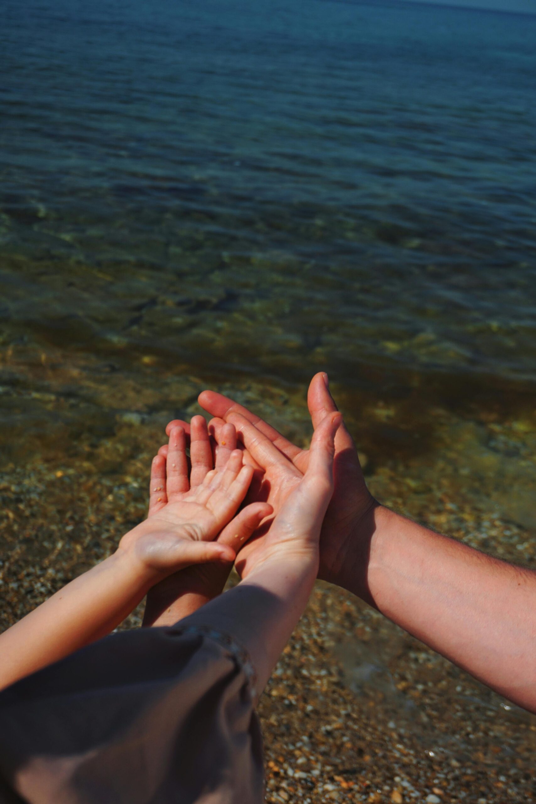 Hands of child and adult reaching toward the calm sea on a sunny day, symbolizing connection.